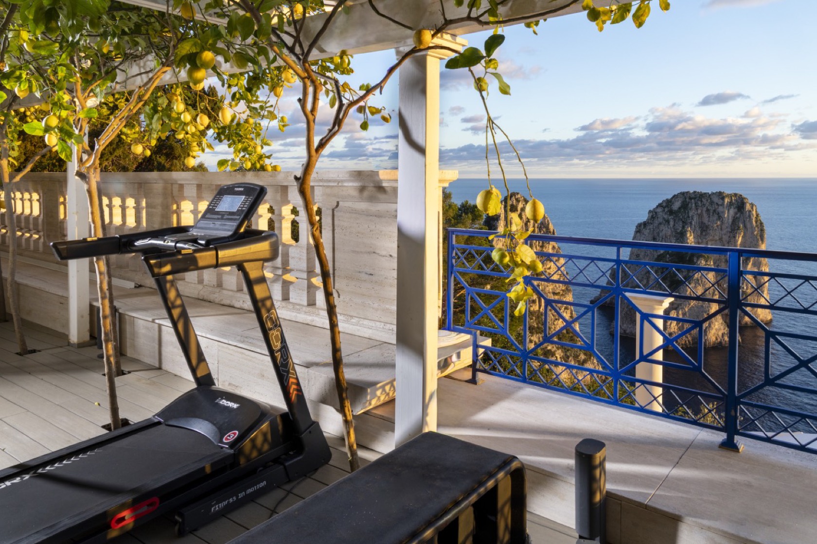 Private gym with sea view